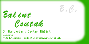 balint csutak business card